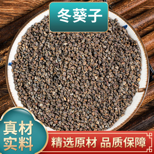 冬葵子中药材冬葵籽冬葵子苘麻子青麻籽正品新货煮水泡水