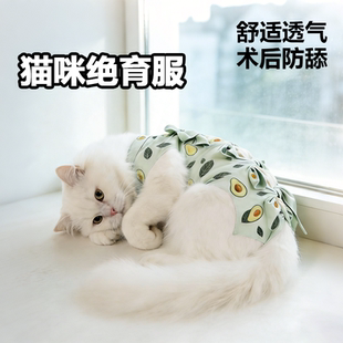 猫咪绝育服纯棉透气防舔服宠物小猫断奶服戒奶服公母猫术后服