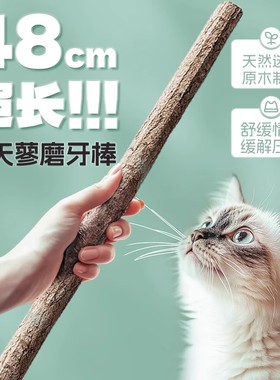 超长48cm长杆木天蓼磨牙棒自嗨解闷磨牙逗猫棒玩具猫薄荷猫咪零食