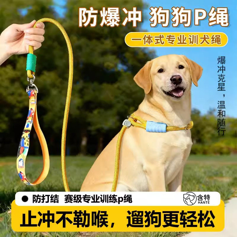 p链p绳狗狗牵引绳遛狗链子小中大型犬训犬防爆冲打结金毛宠物用品