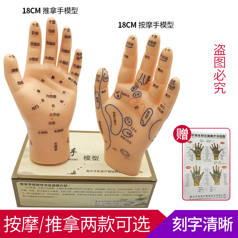 大号手部模型高清大手反射区模型手掌手背推拿针炙点穴位图手足耳