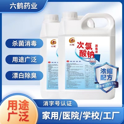 六鹤10%次氯酸钠消毒液