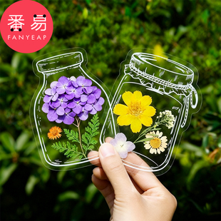 干花书签膜A1v501-树叶植物标本塑封膜透明干花压花书签贴