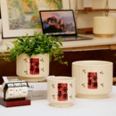 简约花盆陶瓷喜庆节日家用桌面客厅蝴蝶兰发财树杜鹃盆栽带托盘