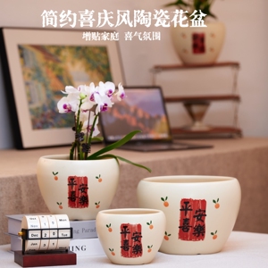 花盆陶瓷简约创意新款喜庆节日客厅桌面蝴蝶兰发财树盆栽送托盘
