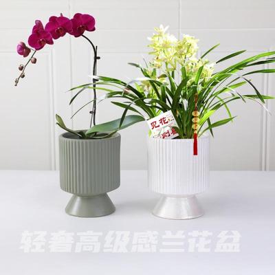 莫兰迪蝴蝶兰盆高脚家用北欧陶瓷蝴蝶兰专用花盆轻奢高级感兰花盆