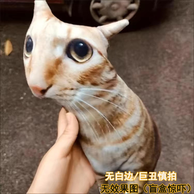 diy抱枕定制异形定做等身人物宠物枕头猫咪来图可印照片真人靠枕