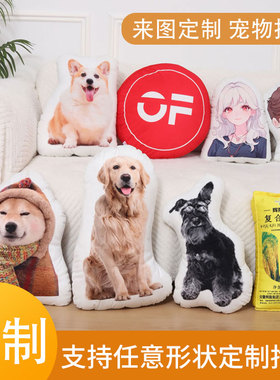 丑猫抱枕来图定制人物无白边定制印照片定做异形宠物枕头毕设靠枕