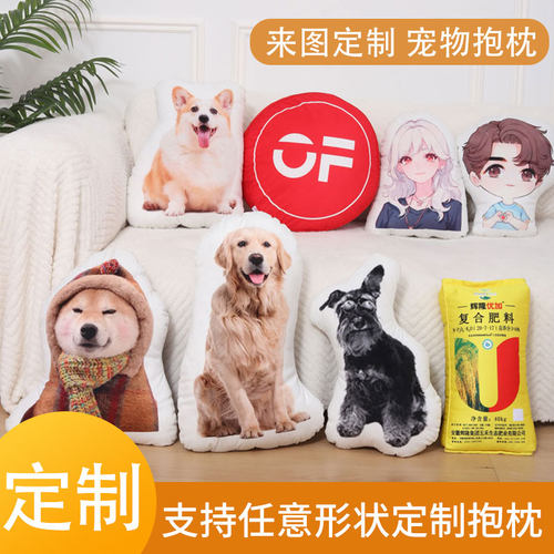 diy抱枕定制异形宠物送女友