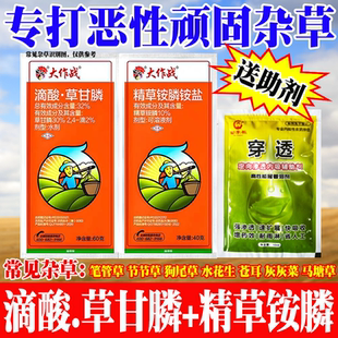 滴酸草甘膦铵盐精草铵膦铵盐除草烂根剂节节草水花生牛筋草小飞蓬