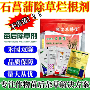 石菖蒲除草套餐杀尖叶草阔叶草烂根不伤苗金钱菖蒲专用除杂草农药