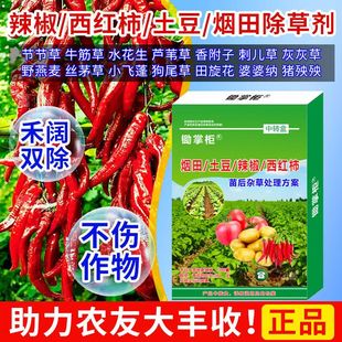 砜嘧磺隆马铃薯土豆番茄辣椒芥菜狗尾草禾阔双除强效烂根除草剂药