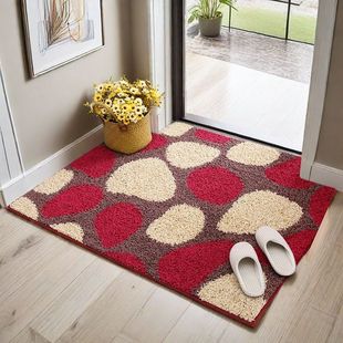 入户门地垫家用门垫进门脚垫客厅地毯门厅防滑垫厕所门口吸水垫子