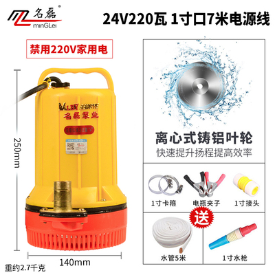 48V24V12V直流潜水泵 塑料外壳电动车水泵 浇菜地灌溉抗旱抽水机