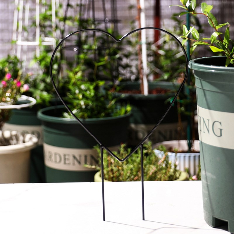 雪莹爬藤架绿萝室内o绿植攀爬支架圆形心形支撑杆山乌龟铁线莲花