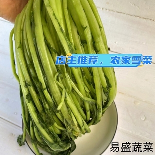 农家正宗腌制雪菜雪里蕻雪里红咸菜白菜下饭菜无添加饭店商用包邮