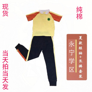 厂家直销广州增城区永宁学区新款小学统一校服新款夏季短袖短服饰