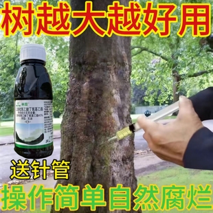三氯吡氧乙酸除草烂根剂一扫光乔木灌木竹子药烂根专用药