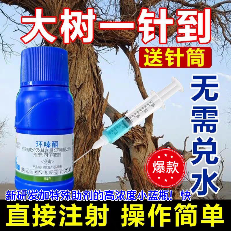 大竹子环嗪哃100%烂根除树专用药