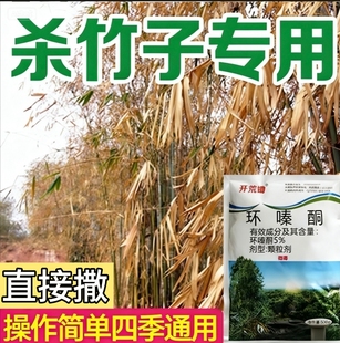 环嗪哃酮铜竹子烂根专用药杀竹烂根药强力除大竹灭死竹子药剂正品