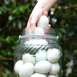 速发可批喜碧腌蛋玻璃密封罐子级家用腌制泡菜坛子咸鸡鸭蛋泡酒瓶