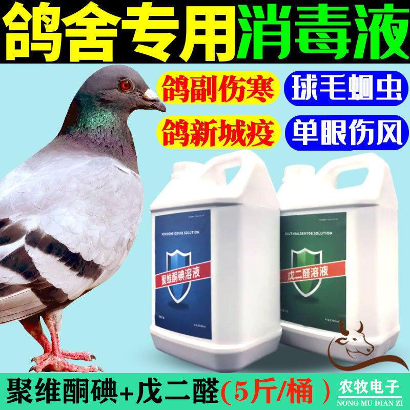 现货速发(鸽舍鸽用消毒液养殖场鸽笼消毒液鸽棚鸽子消毒聚维酮消