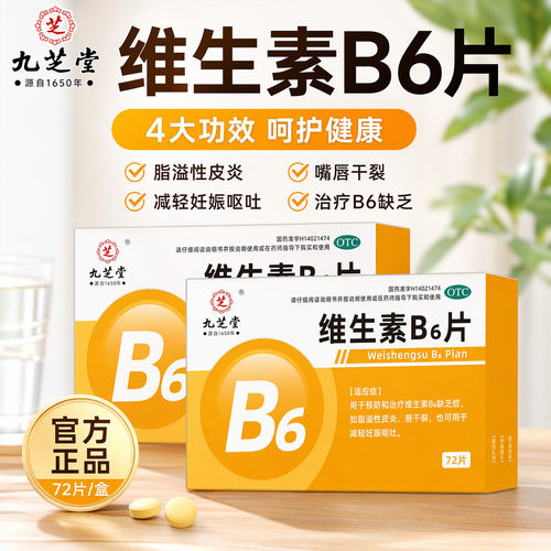九芝堂维生素b6片正品和B2片成人脂溢性皮炎孕吐唇干裂官方旗舰店