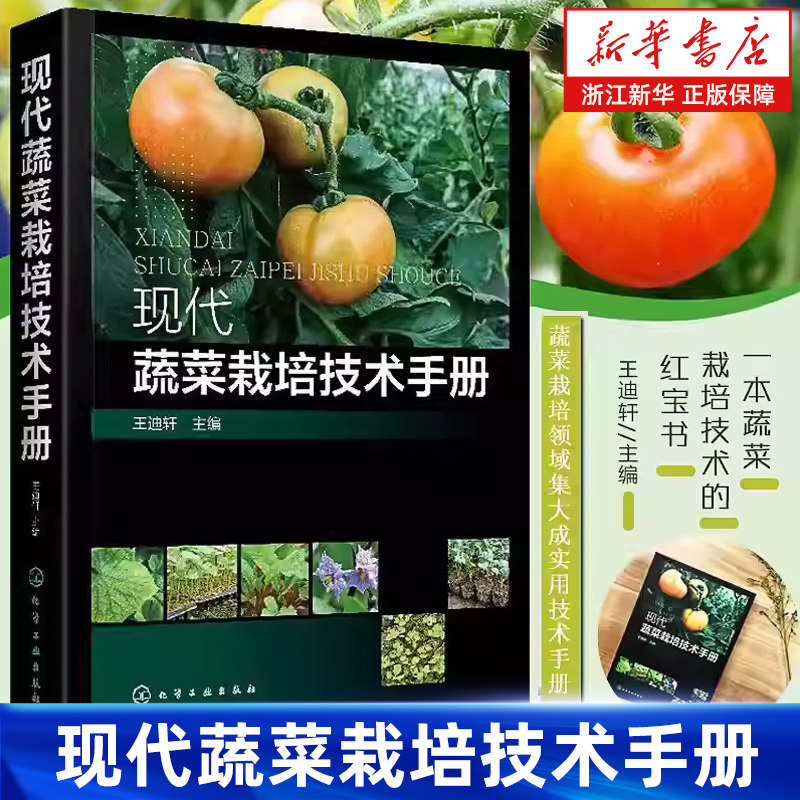 【新华书店旗舰店】现代蔬菜栽培技术手册 王迪轩 农作物栽培水果蔬菜种植技术加工保鲜教程农作物高效种植技术书现代农业技术手册