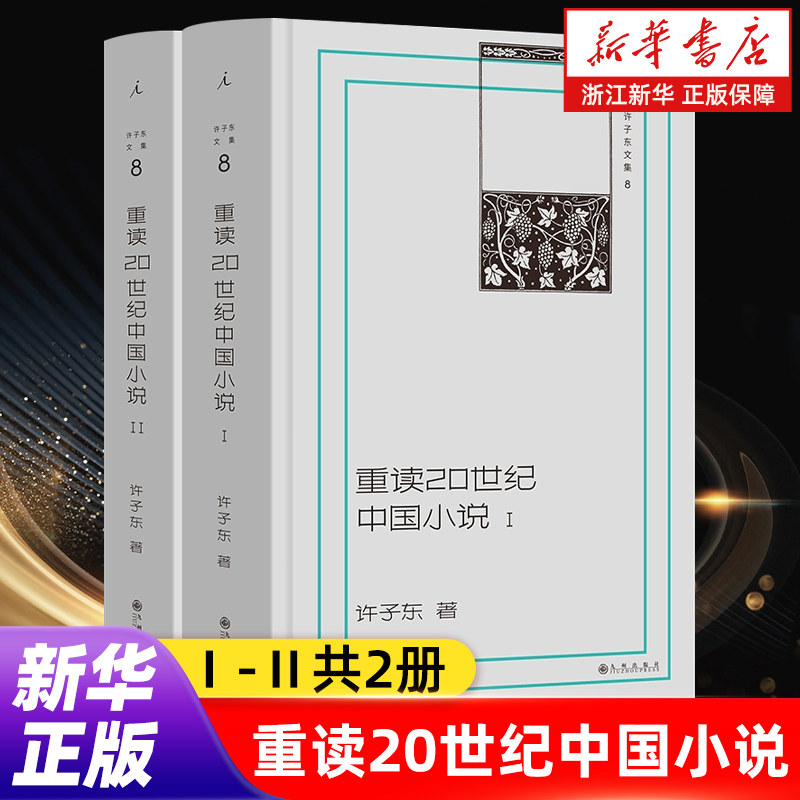 【插图本全2册】许子东文集08 重读20世纪中国小说 读100年的小说看100年的中国 一张探索20世纪文学的宝藏地图【浙江新华书店】