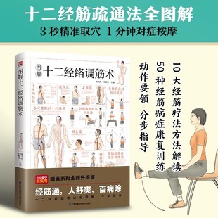 【新华正版】图解十二经络调筋术 筋疏通法全图解一学就会50种经筋病症的康复训练12种经筋功用介绍10大经筋疗法方法解读 中医养生