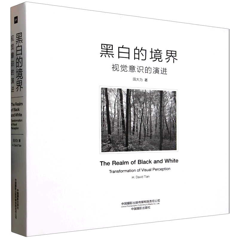 黑白的境界:视觉意识的演进:汉、英