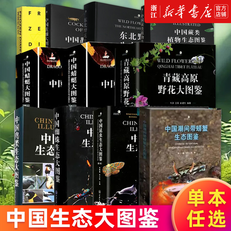 【多册任选】中国生态大图鉴 蜘蛛+蜻蜓+昆虫+鸟类+蜚蠊+潮间带螃蟹生态图鉴 中国蕨类植物+东北野花+青藏高原野花大图鉴(精)