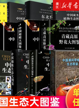 【多册任选】中国生态大图鉴 蜘蛛+蜻蜓+昆虫+鸟类+蜚蠊+潮间带螃蟹生态图鉴 中国蕨类植物+东北野花+青藏高原野花大图鉴(精)