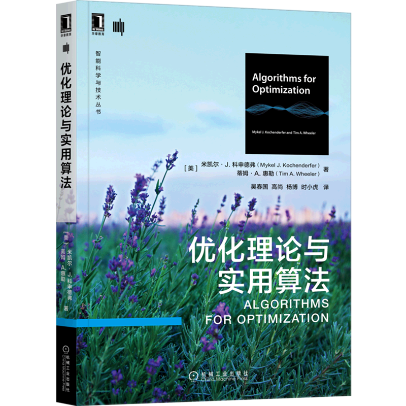 优化理论与实用算法/智能科学与技术丛书