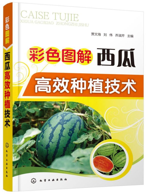 彩色图解西瓜高效种植技术 大棚西瓜种植书籍 棚室西瓜高效栽培 西瓜栽培模式育苗技术露地栽培覆盖栽培间作套种 病虫草害防治技术