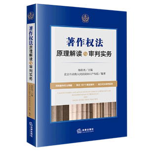著作权法原理解读与审判实务