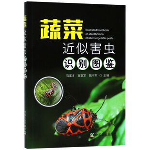 蔬菜近似害虫识别图鉴