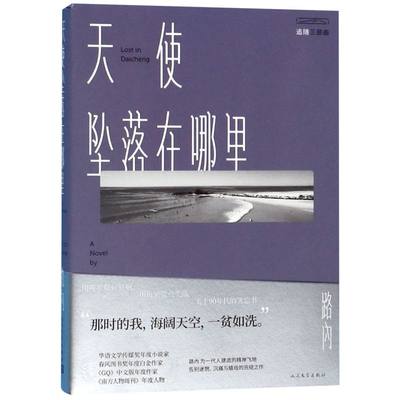 天使坠落在哪里/追随三部曲