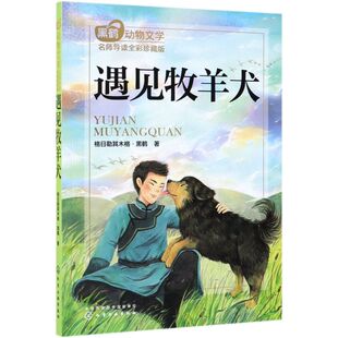 黑鹤动物文学名师导读 全彩珍藏版 遇见牧羊犬 中国教育报年度十大阅读推广人 沉砂 走进自然 补充精神钙质 经典儿童文学作品集