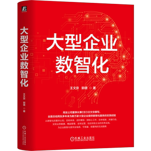 大型企业数智化