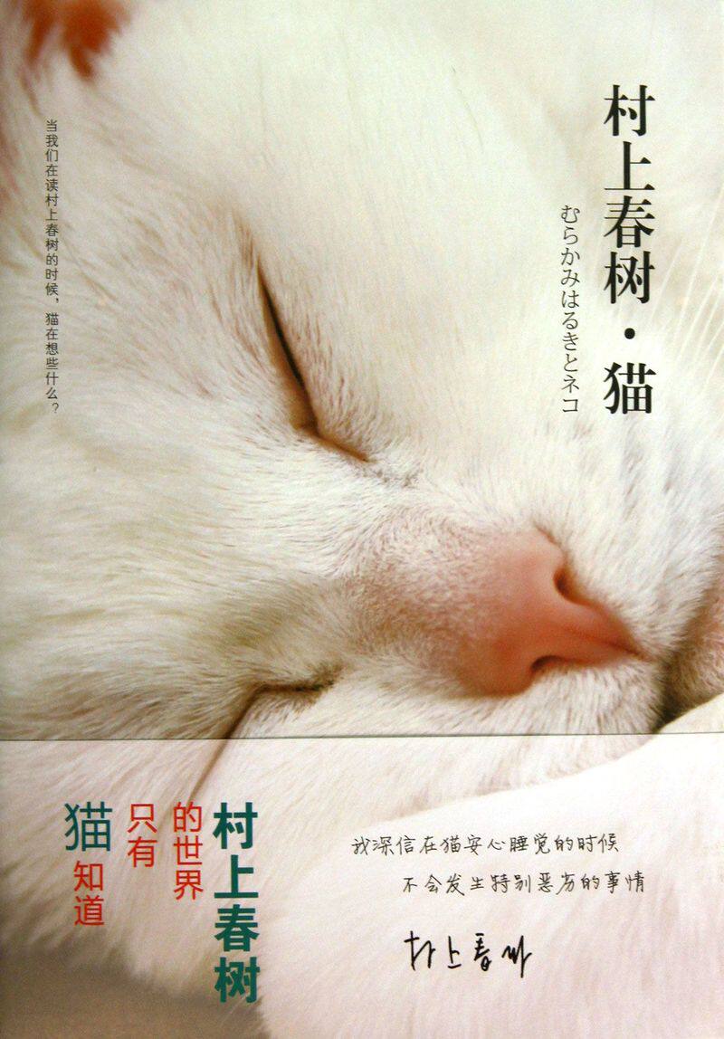 村上春树猫