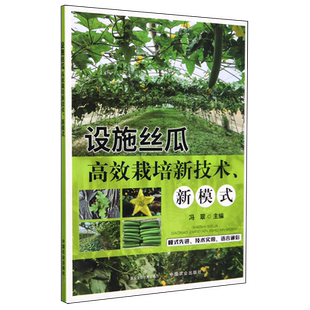 设施丝瓜高效栽培新技术、新模式 丝瓜生产常见病虫害防治中国农业出版社 9787109319905 农技人员、种植户等学习参考