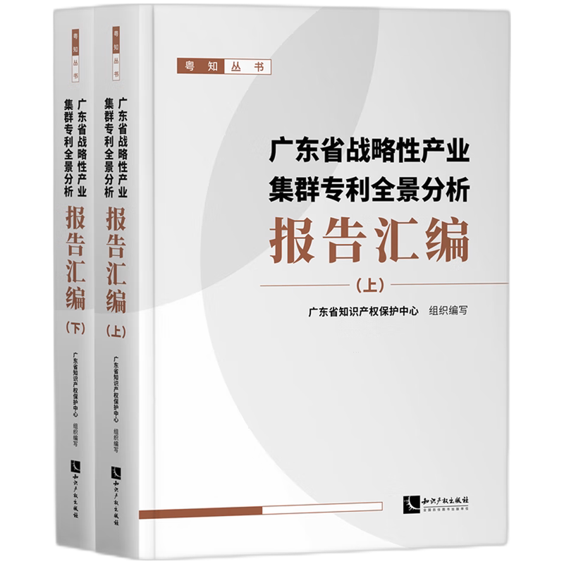 广东省战略性产业集群专利全景分析报告汇编(上下)/粤知丛书