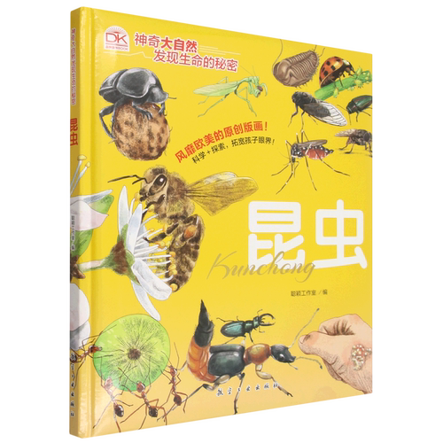 昆虫