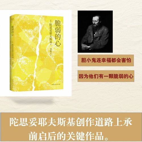 脆弱的心/陀思妥耶夫斯基 刘淼文译 心理文学类型中篇小说畅销书 浙江新华书店旗舰店官网果麦出品 山东文艺出版社正版书籍