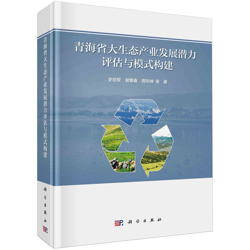 青海省大生态产业发展潜力评估与模式构建