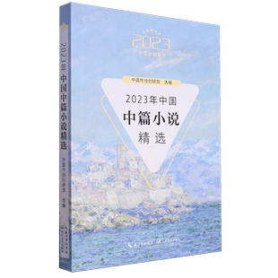 2023年中国中篇小说精选