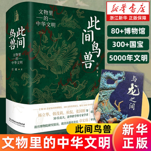 【新华书店旗舰店】此间鸟兽:文物里的中华文明 四色精装 任疆著 文物考古书籍 解读5000年中华文明 北京理工 如果国宝会说话