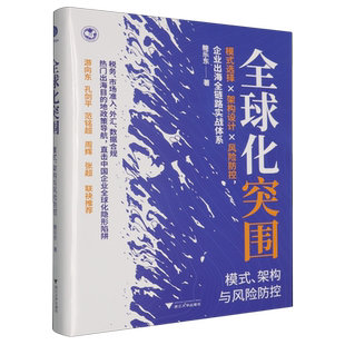 全球化突围:模式、架构与风险防控