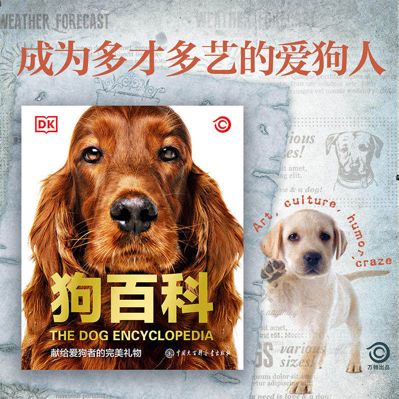 dk狗百科 名犬百科 科学饲养 养狗全攻略书籍 宠物狗图鉴大全 懒人养宠速成手册 狗狗大百科 饲养狗狗书籍 狗类驯养入门